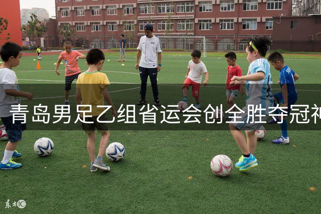 青岛男足乙组省运会创全胜夺冠神话 青训体系显成效